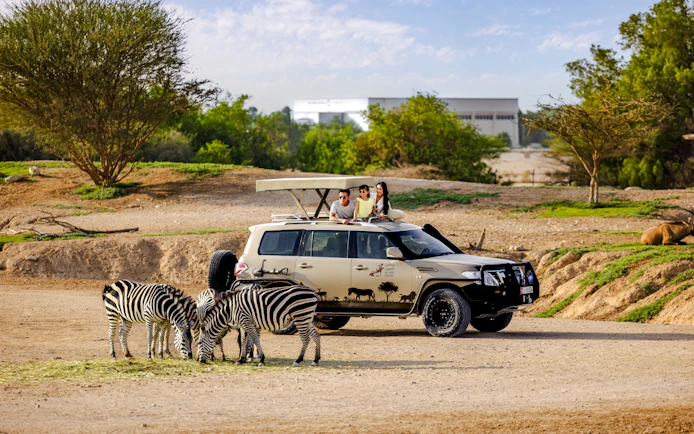 Safari vehicle with tourists observing zebras at Al Ain Zoo.