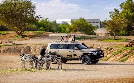 Al Ain Zoo Tickets
