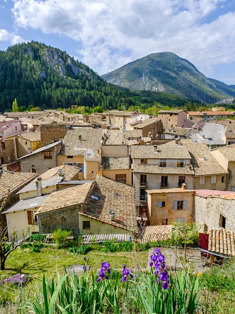 Castellane village rooftops with surrounding mountains and purple flowers in the foreground.