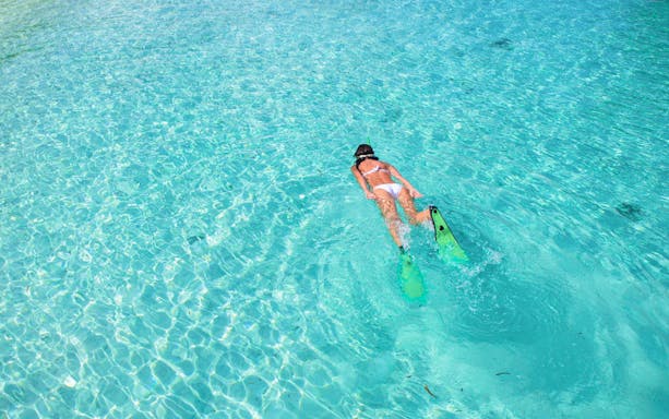 Snorkeler exploring clear waters in coastline coves.
