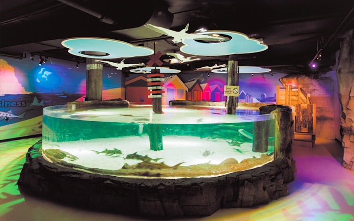 Rays swimming in a circular tank at Bay of Rays, Sea Life Melbourne.