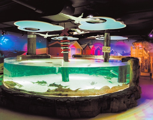 Bay of Rays, Sea Life Melbourne