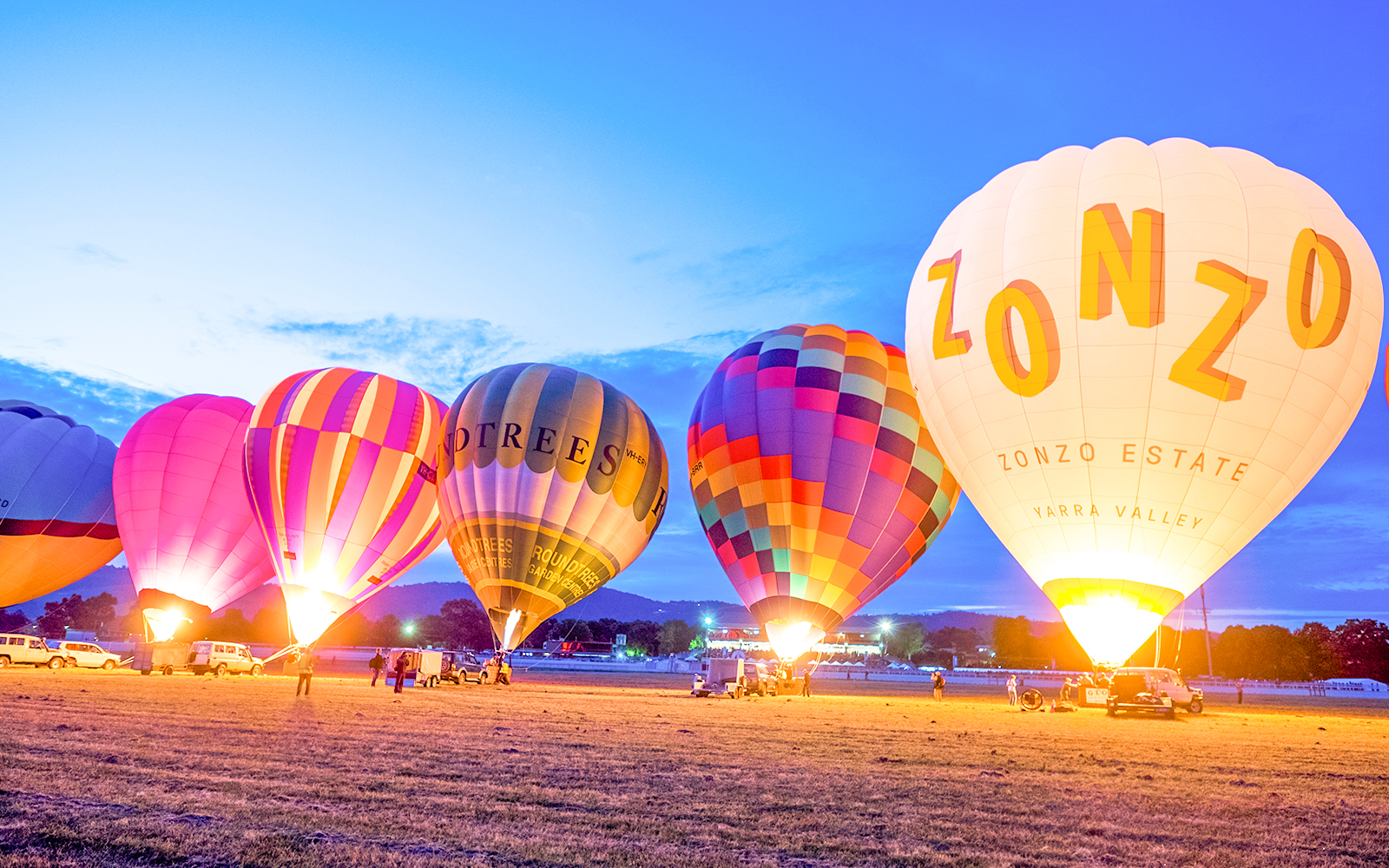 Hot air balloons preparing for sunrise flight over Melbourne field.