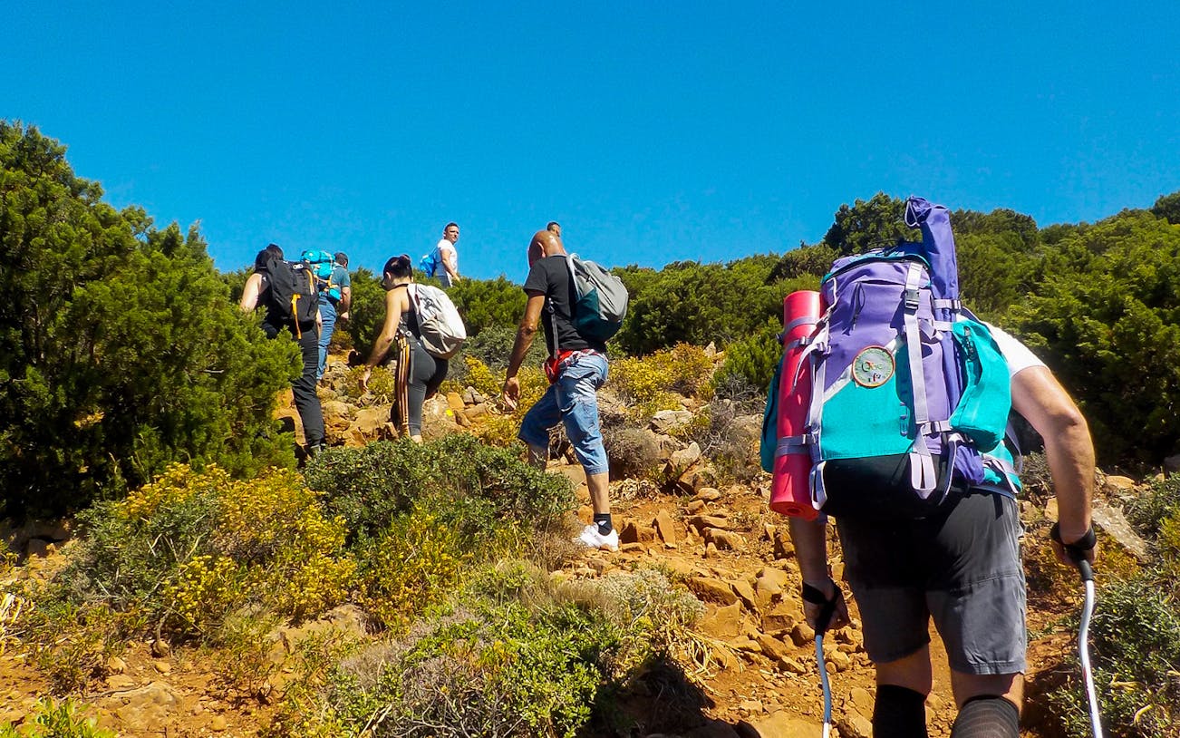 Hikers trekking on a rocky path from Masua to Cala Domestica, surrounded by greenery.