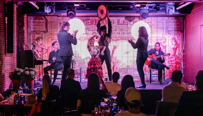 Flamenco De Leones - Flamenco Show