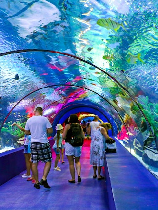 Visitors walking through an underwater tunnel at Blue Planet Aquarium.