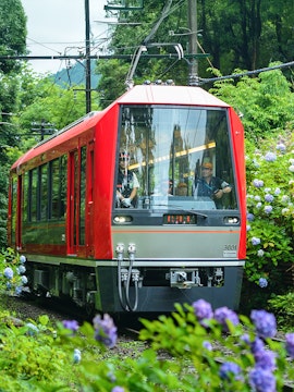 Red train traveling through lush greenery on Kamakura Day Tour from Tokyo.
