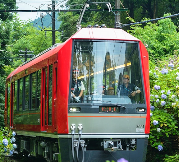 Red train traveling through lush greenery on Kamakura Day Tour from Tokyo.