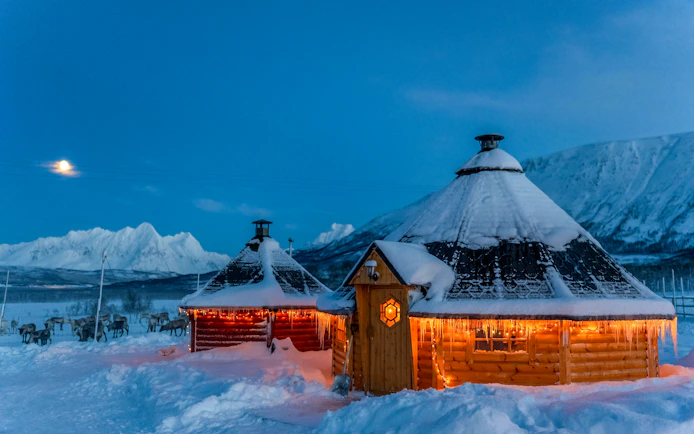 Snow-covered Sami huts with reindeer in Tromso under moonlit sky.