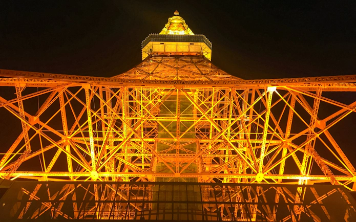 Tokyo Tower illuminated at night during a Tokyo Night Tour.