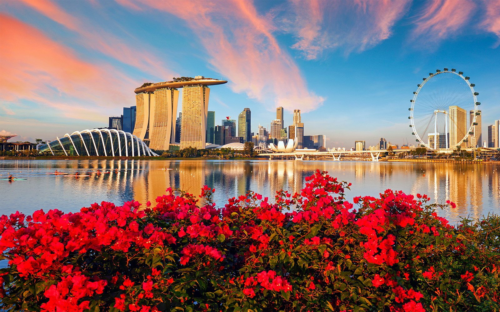 Marina Bay Sands SkyPark