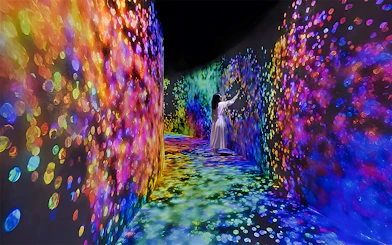 Interactive digital art installation at TeamLab Phenomena Abu Dhabi with colorful light projections.