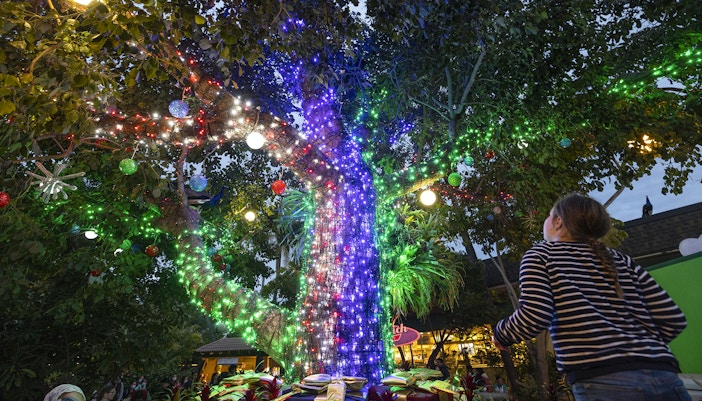 Tree adorned with colorful Christmas lights at San Diego Zoo.