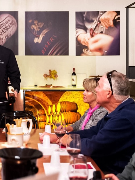 Group enjoying wine tasting session in Chianti with guide explaining wine details.