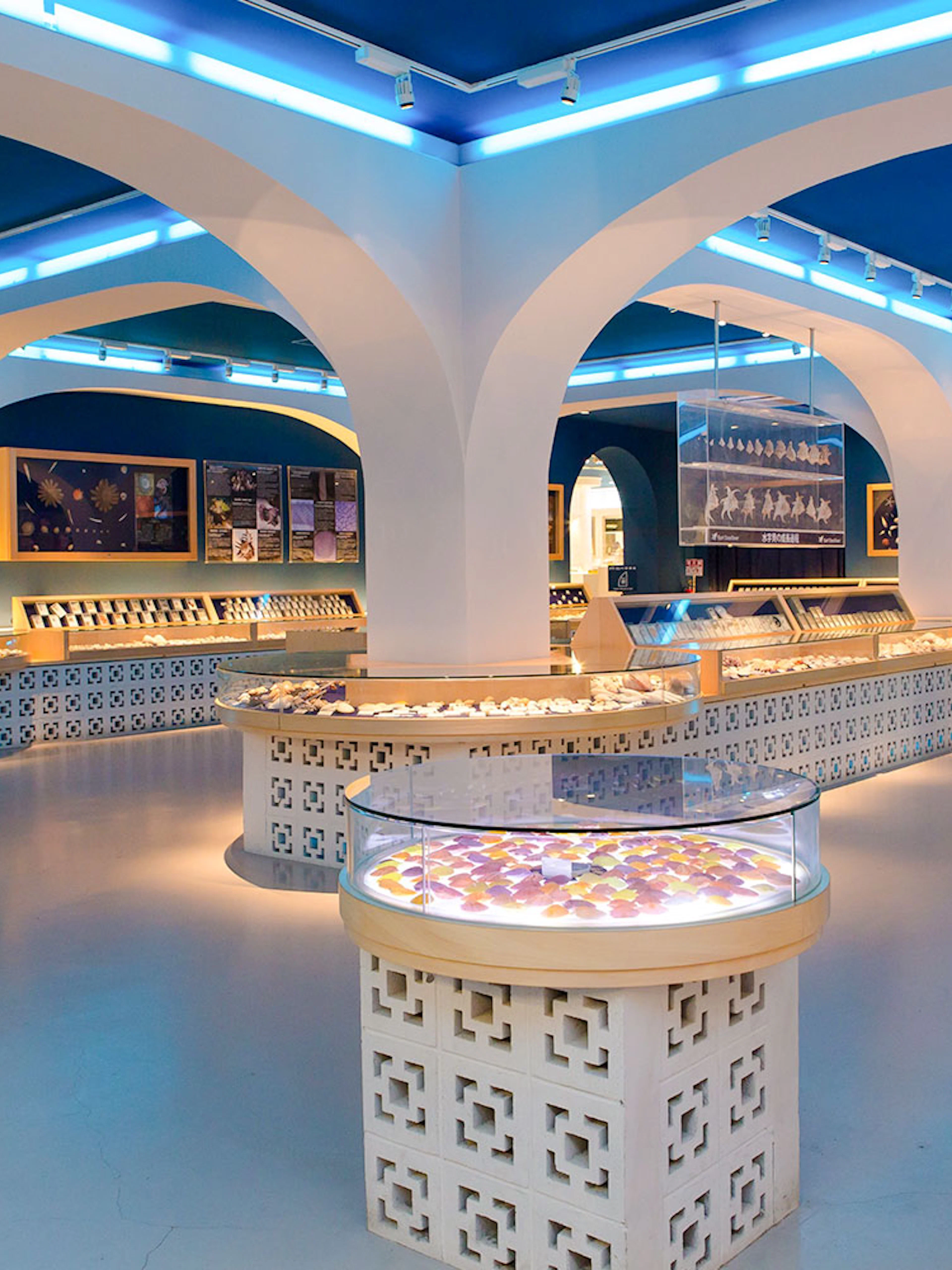 Interior of Hakone Kowakien Yunessun shell museum with collections in glass cases.