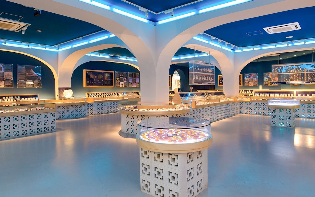 Interior of Hakone Kowakien Yunessun shell museum with collections in glass cases.