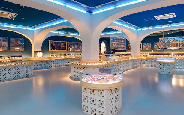 Interior of Hakone Kowakien Yunessun shell museum with collections in glass cases.