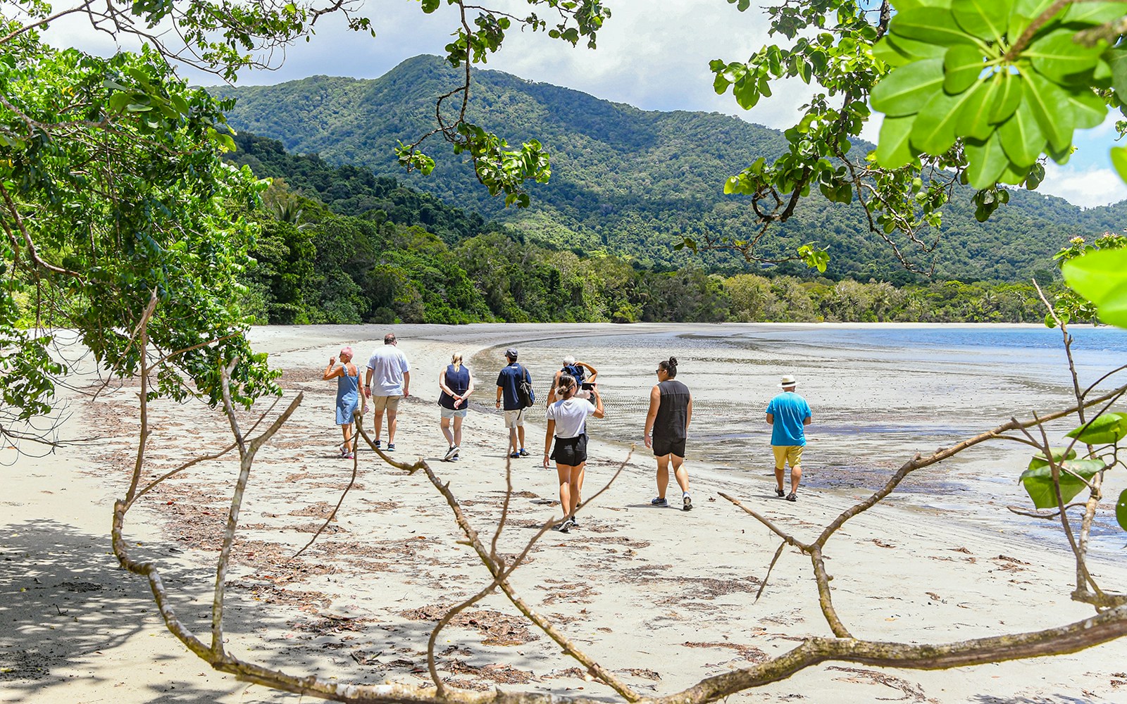 Group walking on Cape Tribulation beach with Daintree rainforest backdrop.