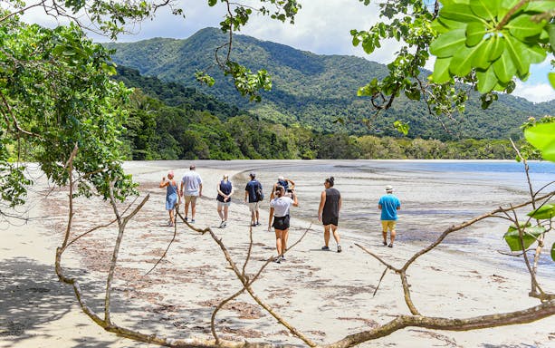 Group walking on Cape Tribulation beach with Daintree rainforest backdrop.