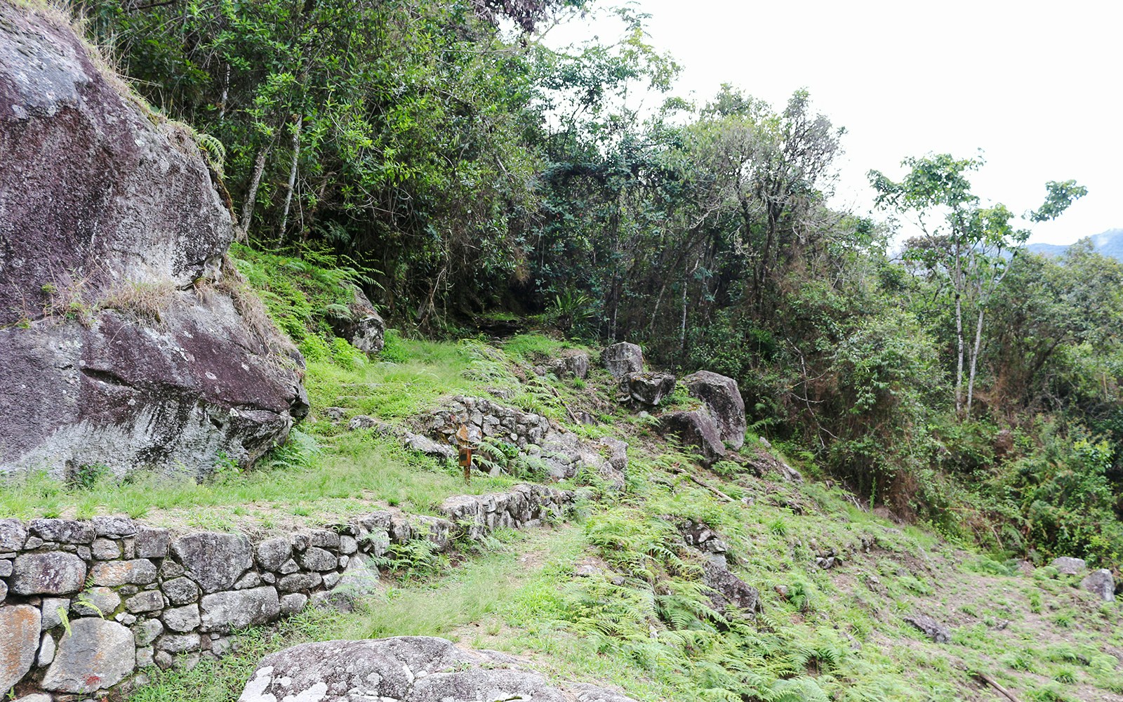 Stone path leading to Moon Temple, Machu Picchu, surrounded by lush greenery and rocky terrain.