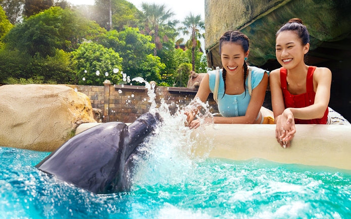 Women interacting with a dolphin at the Dolphin Encounter Show.