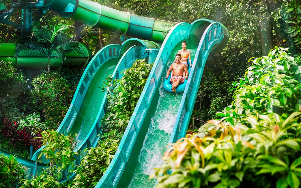 People riding the Riptide Rocket water slide at Adventure Cove Waterpark™ surrounded by lush greenery.