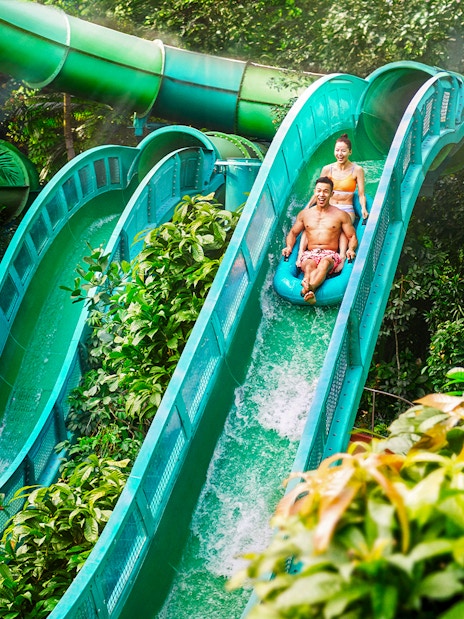 People riding the Riptide Rocket water slide at Adventure Cove Waterpark™ surrounded by lush greenery.