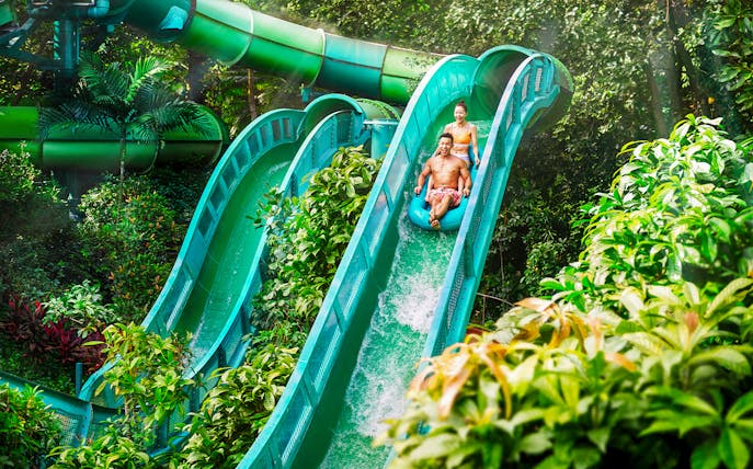 People riding the Riptide Rocket water slide at Adventure Cove Waterpark™ surrounded by lush greenery.