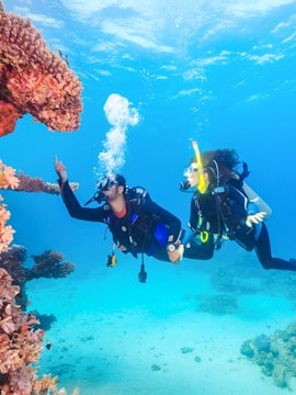 Divers exploring coral reef and fish in the Red Sea, Ras Mohamed, Sharm El-Sheikh.
