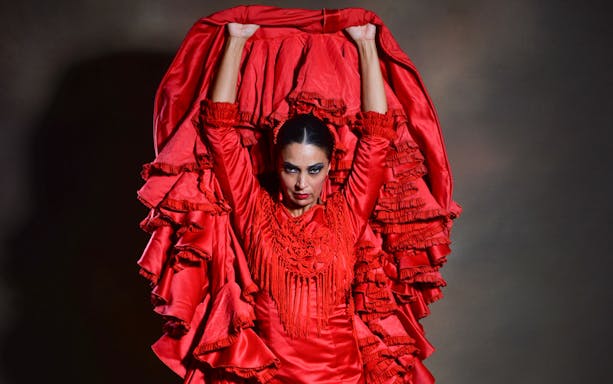 Flamenco dancer in red dress performing at Teatro Flamenco Barcelona.