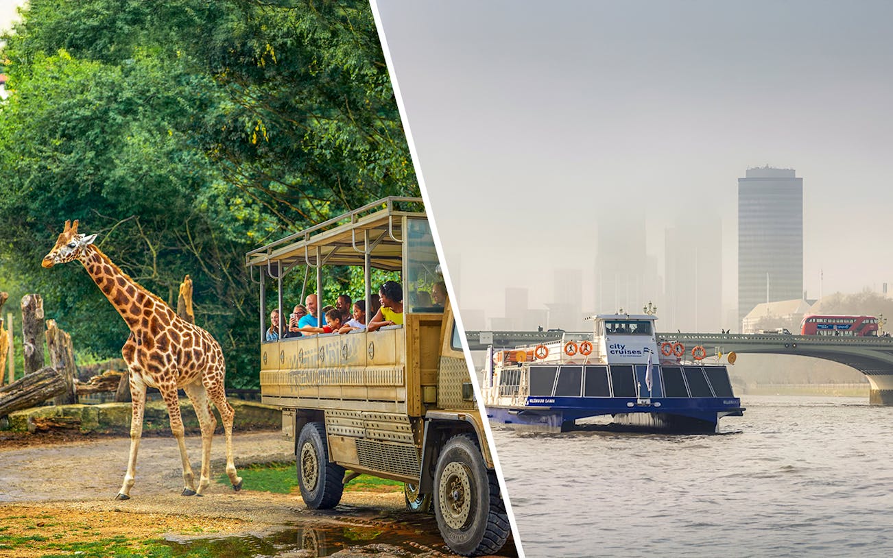 Giraffe near safari vehicle and city cruise boat on river with skyline in background.