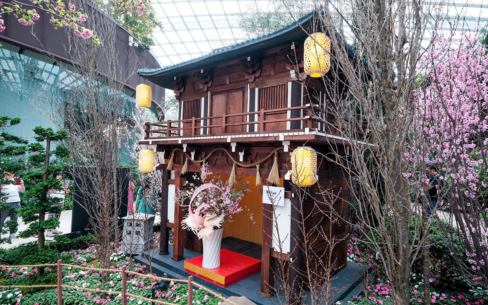 Traditional Japanese structure with cherry blossoms at Gardens by the Bay Sakura event.