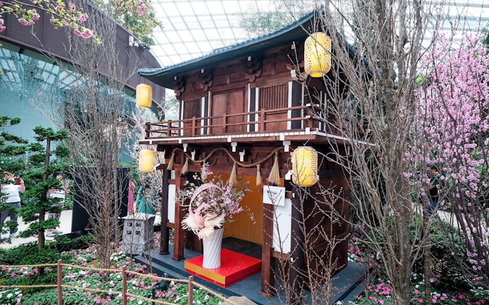 Traditional Japanese structure with cherry blossoms at Gardens by the Bay Sakura event.