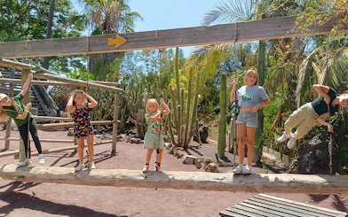 Children playing on a wooden balance beam in Jungle Park Tenerife kids activity area.