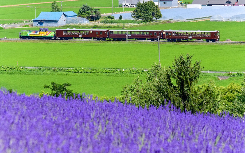 Train traveling through Hokkaido's lavender fields towards Noboribetsu.