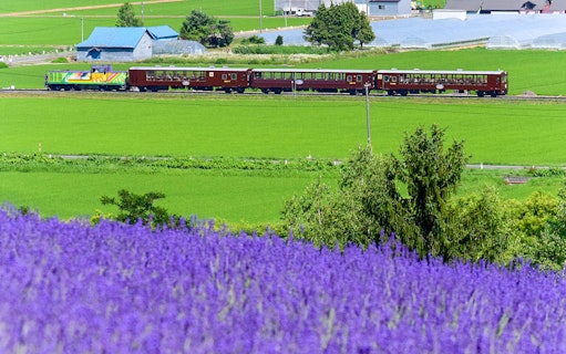 Train traveling through Hokkaido's lavender fields towards Noboribetsu.