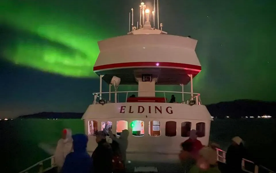 Cruise ship under Northern Lights near Reykjavík skyline.