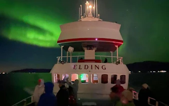 Cruise ship under Northern Lights near Reykjavík skyline.