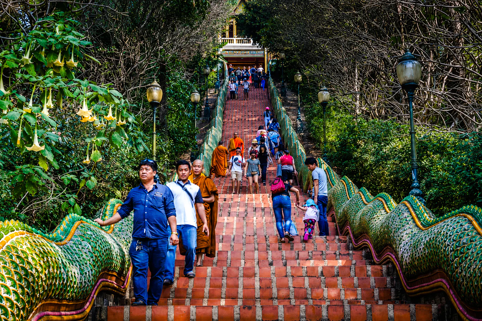 Chiang Mai Doi Suthep Temple and Wat Pha Lat Small-Group Guided Hike on Monk's Trail