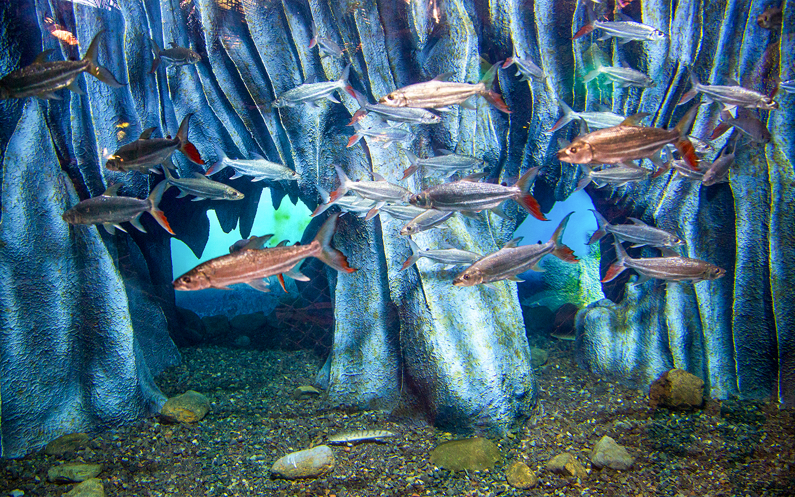 Commitment to Conservation