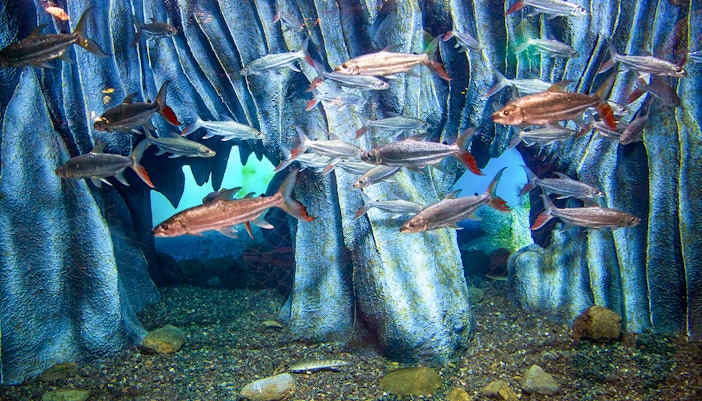 Commitment to Conservation