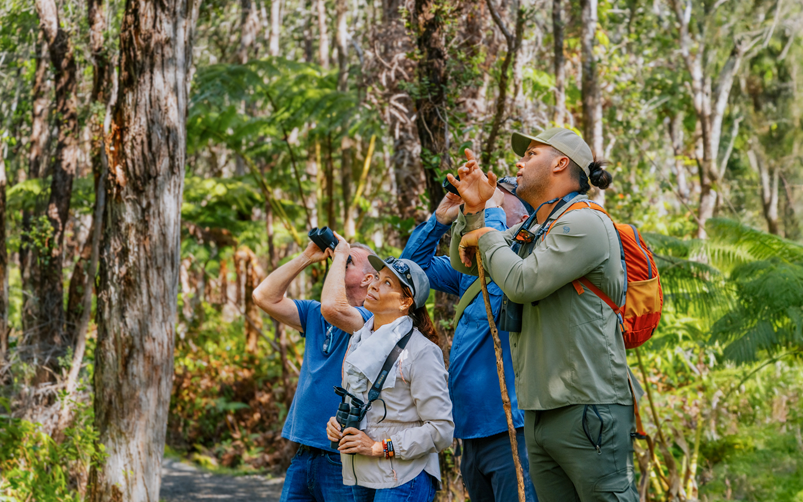 Guests birdwatching in Hakalau Forest during birdwatching adventure.