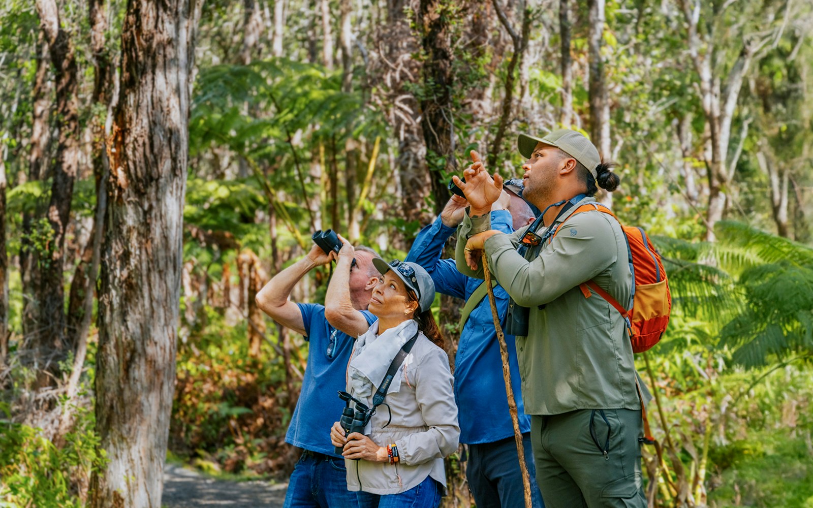 Guests birdwatching in Hakalau Forest during birdwatching adventure.
