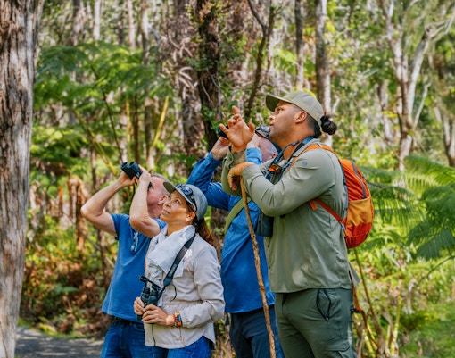 Guests birdwatching in Hakalau Forest during birdwatching adventure.