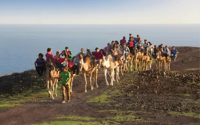 Group riding camels along a coastal path during Oasis Wildlife camel experience.