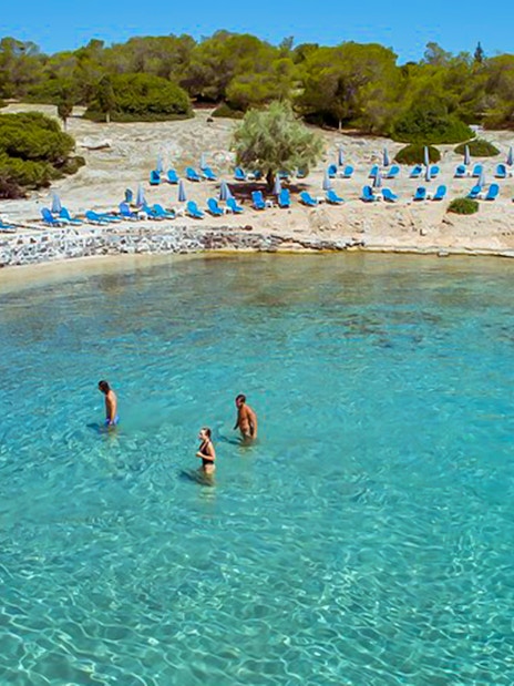 Guests wading in clear water at a beach during Athens Day Cruise.