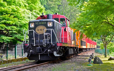Hozugawa Boat & Sagano Train Day Tour from Kyoto