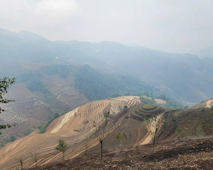 Mu Cang Chai Trekking and Motorbike Tour with Village and Rice Terrace Visits (Product 54308)