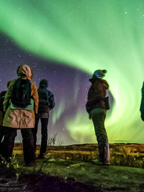 Friends watching Northern Lights in a night sky, Northern Hemisphere.