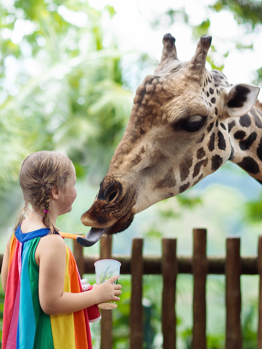 Bilety do zoo w Perth